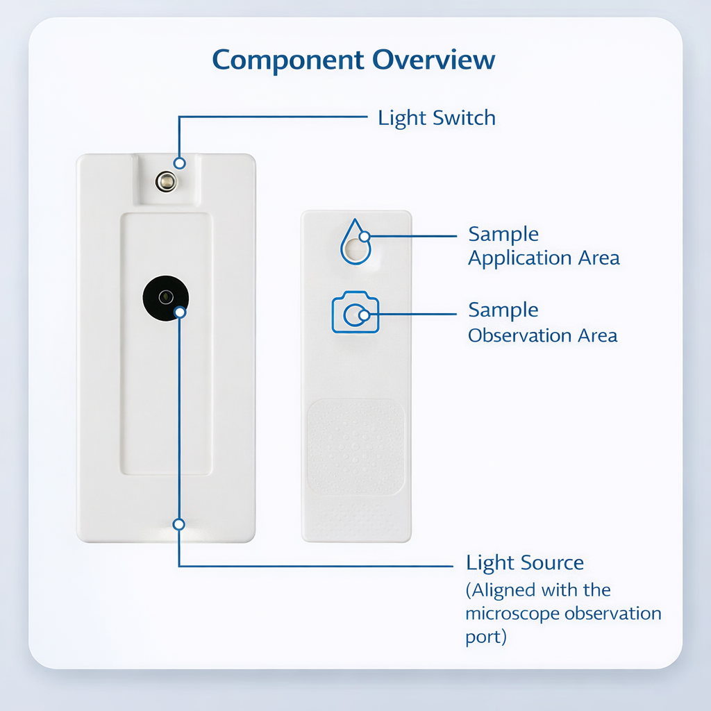 Test Your Fertility in Private — Without the Awkward Clinic Visit