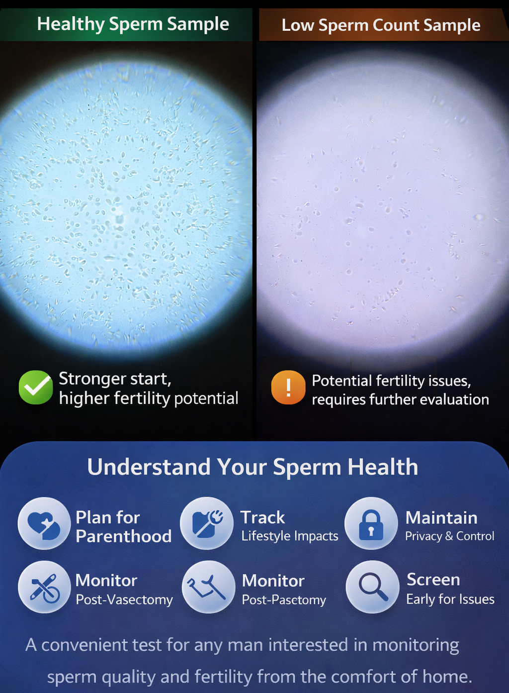 Test Your Fertility in Private — Without the Awkward Clinic Visit